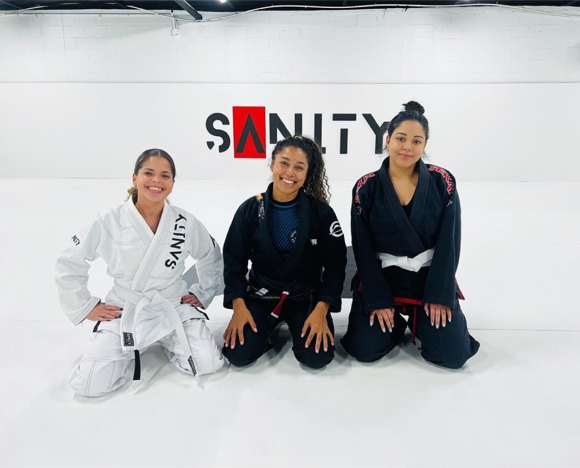 Image 8 of SANITY JIU JITSU WINTER GARDEN