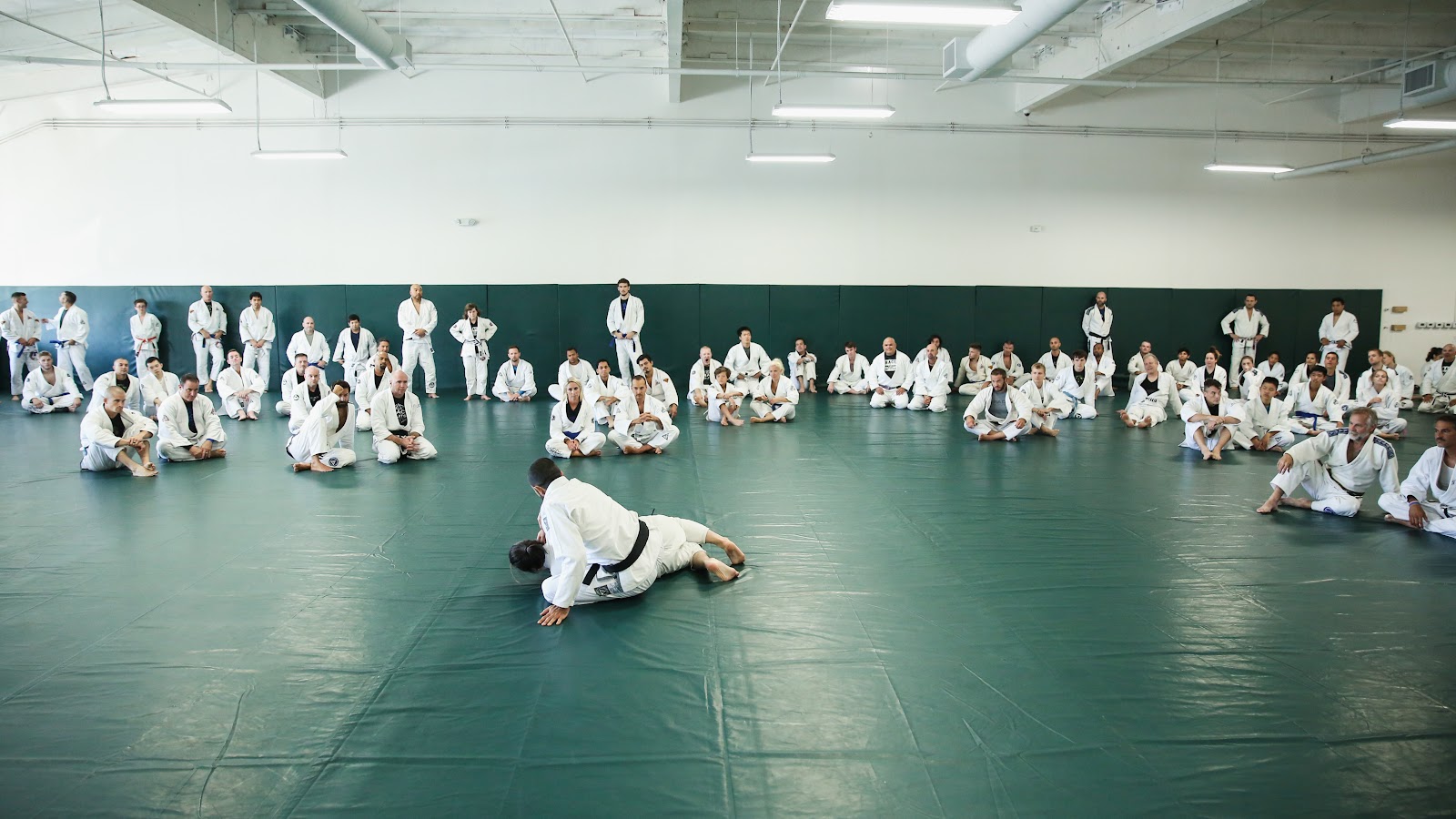 Gracie University of Jiu-Jitsu photo