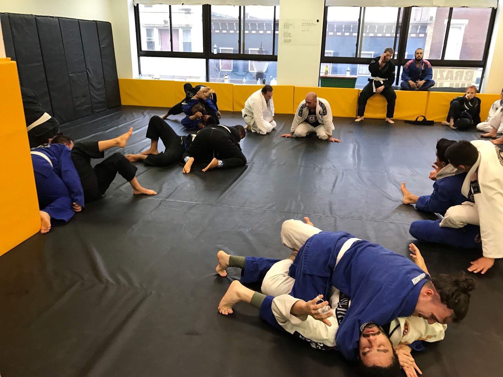 Alliance Jiu Jitsu Port Chester photo