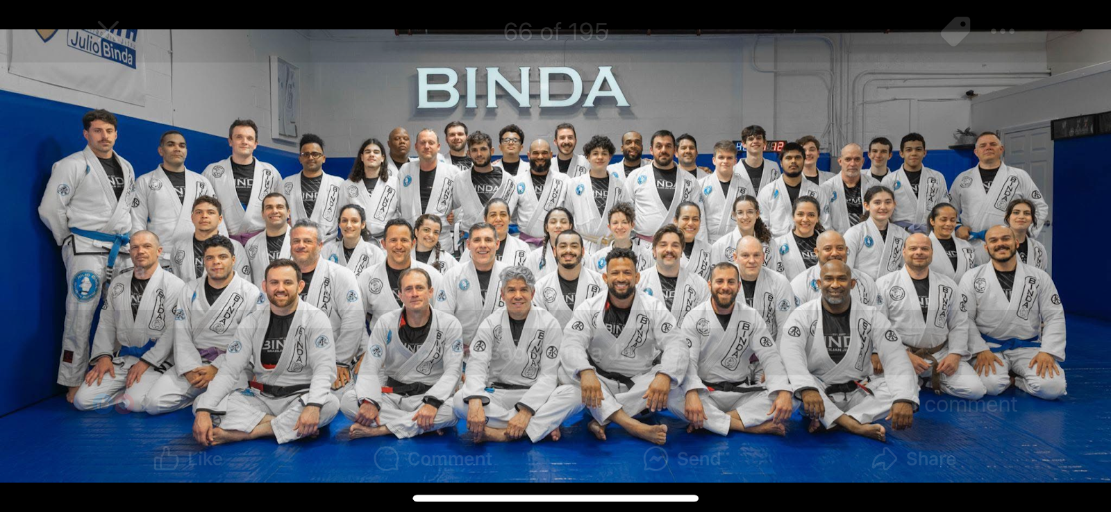 Image 5 of Silvestrebjj