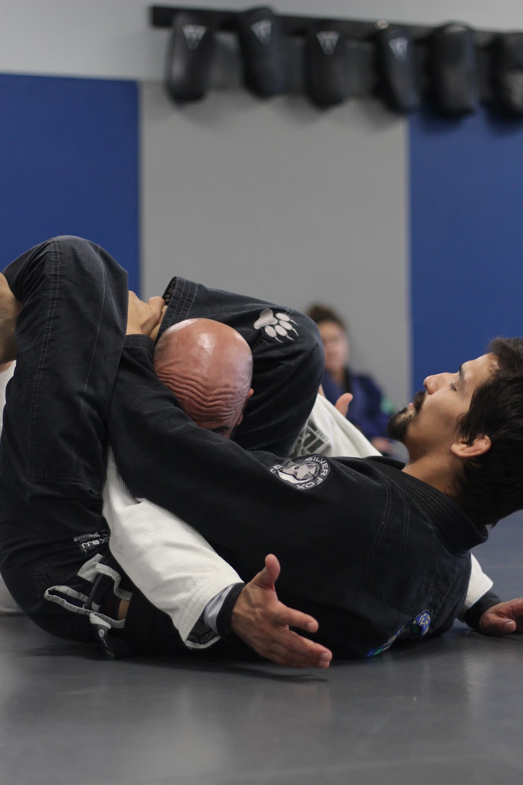 Image 9 of Silver Fox Brazilian Jiu-Jitsu - 561