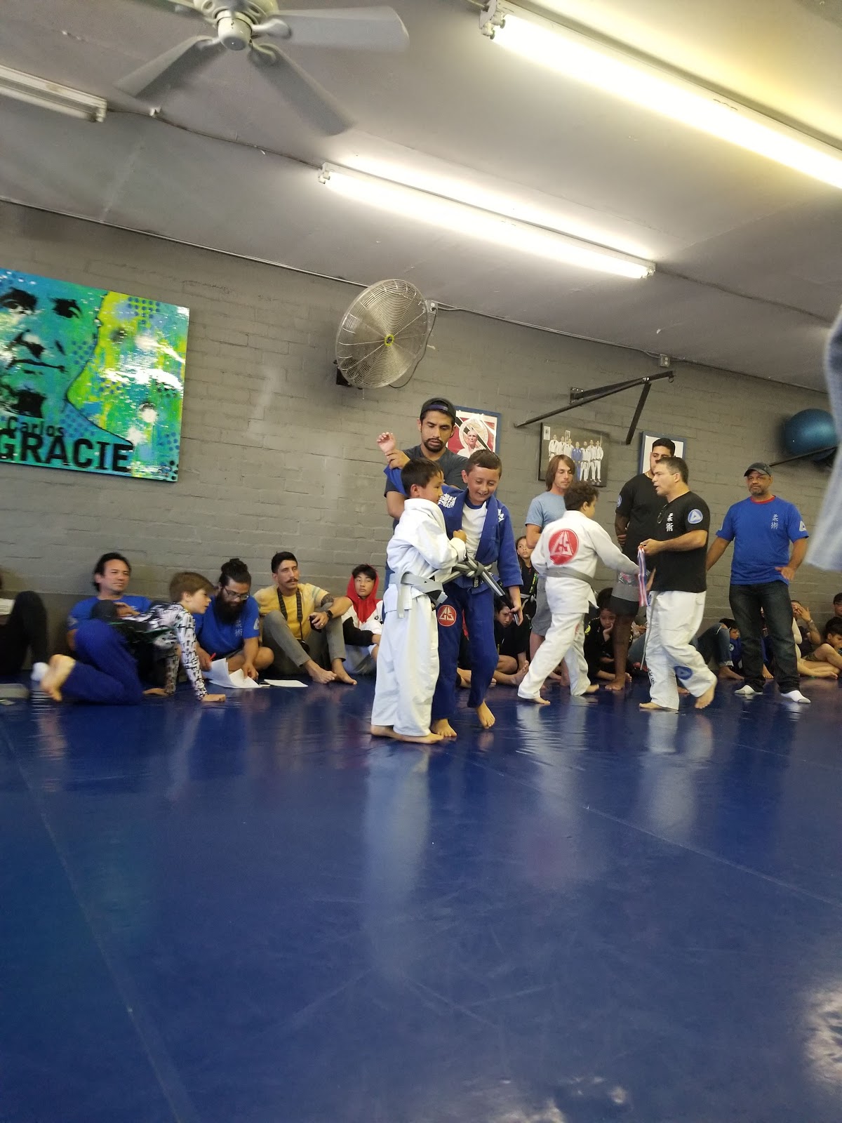 Delta Brazilian Jiu-Jitsu photo