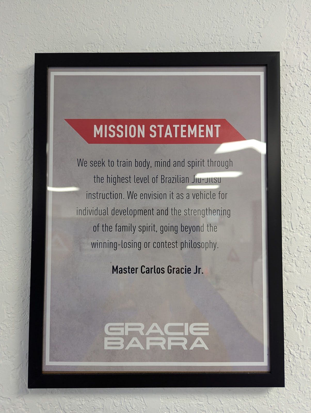 Image 9 of Gracie Barra Lutz