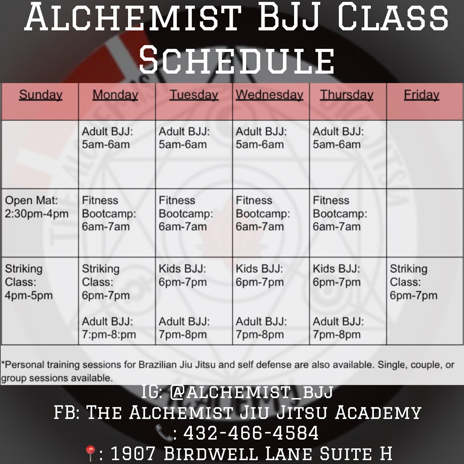 Image 10 of The Alchemist Jiu Jitsu Academy