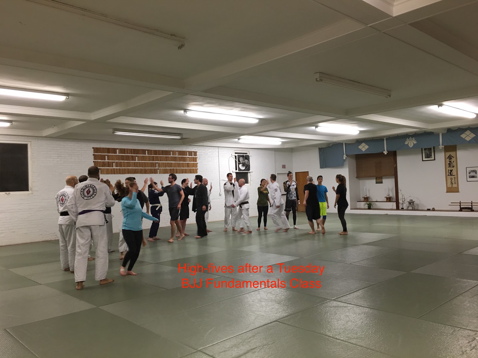 Image 10 of Ginsberg Academy BJJ