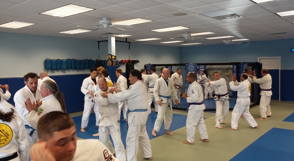 Main image of Gracie Jiu Jitsu Sarasota Academy