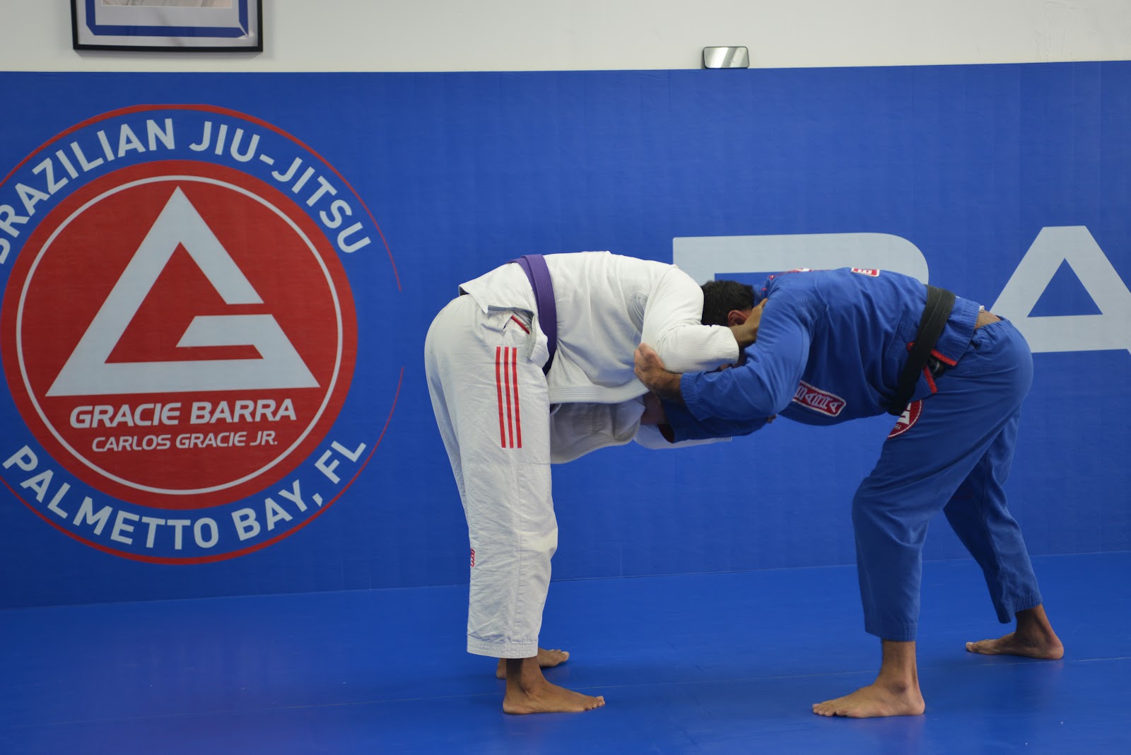 Image 4 of Gracie Barra Palmetto Bay