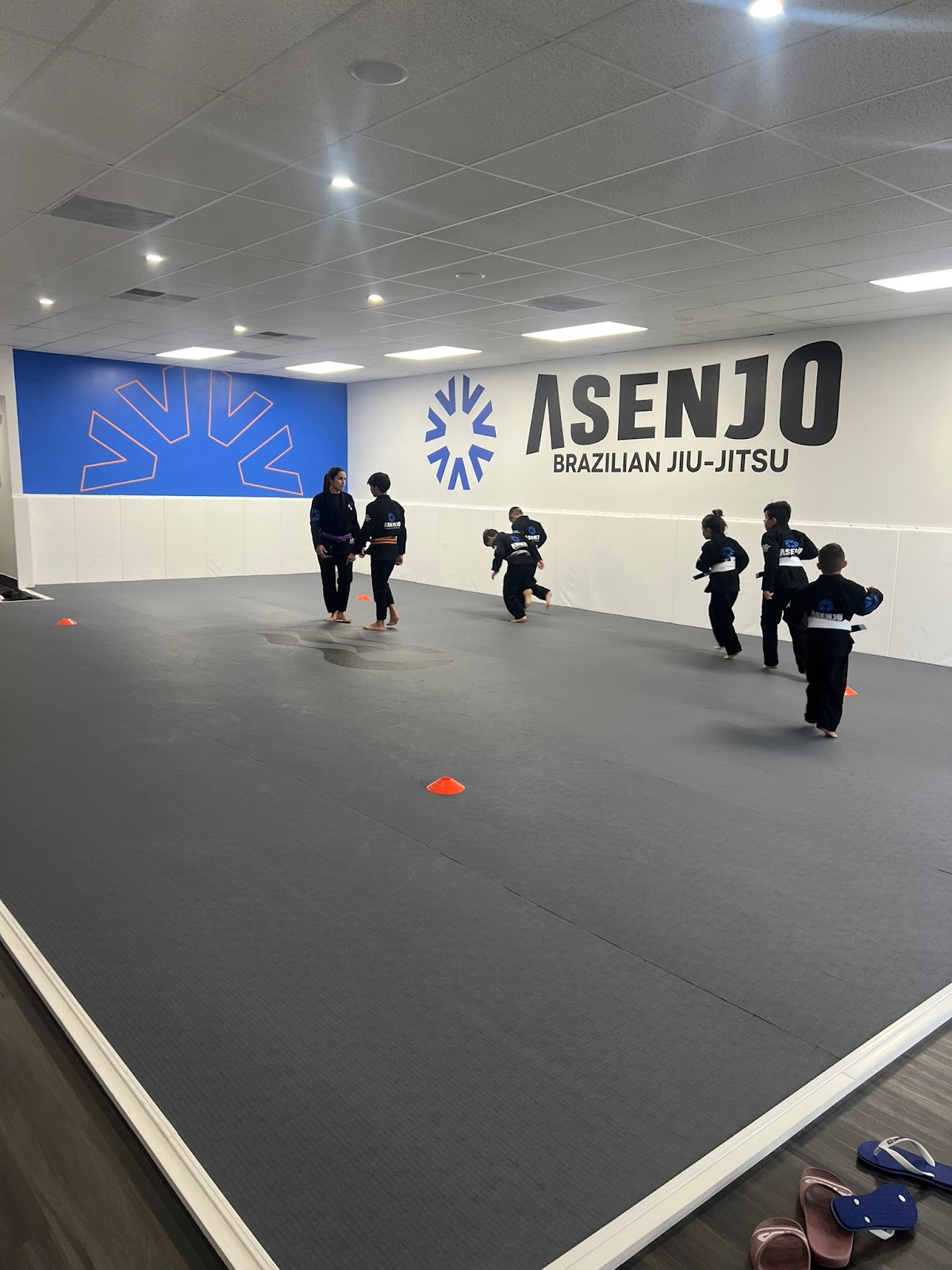 Image 2 of Asenjo Brazilian Jiu-Jitsu