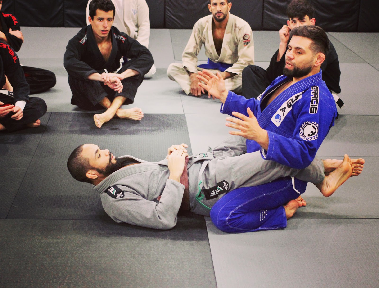 Image 7 of Daniel Gracie Holland