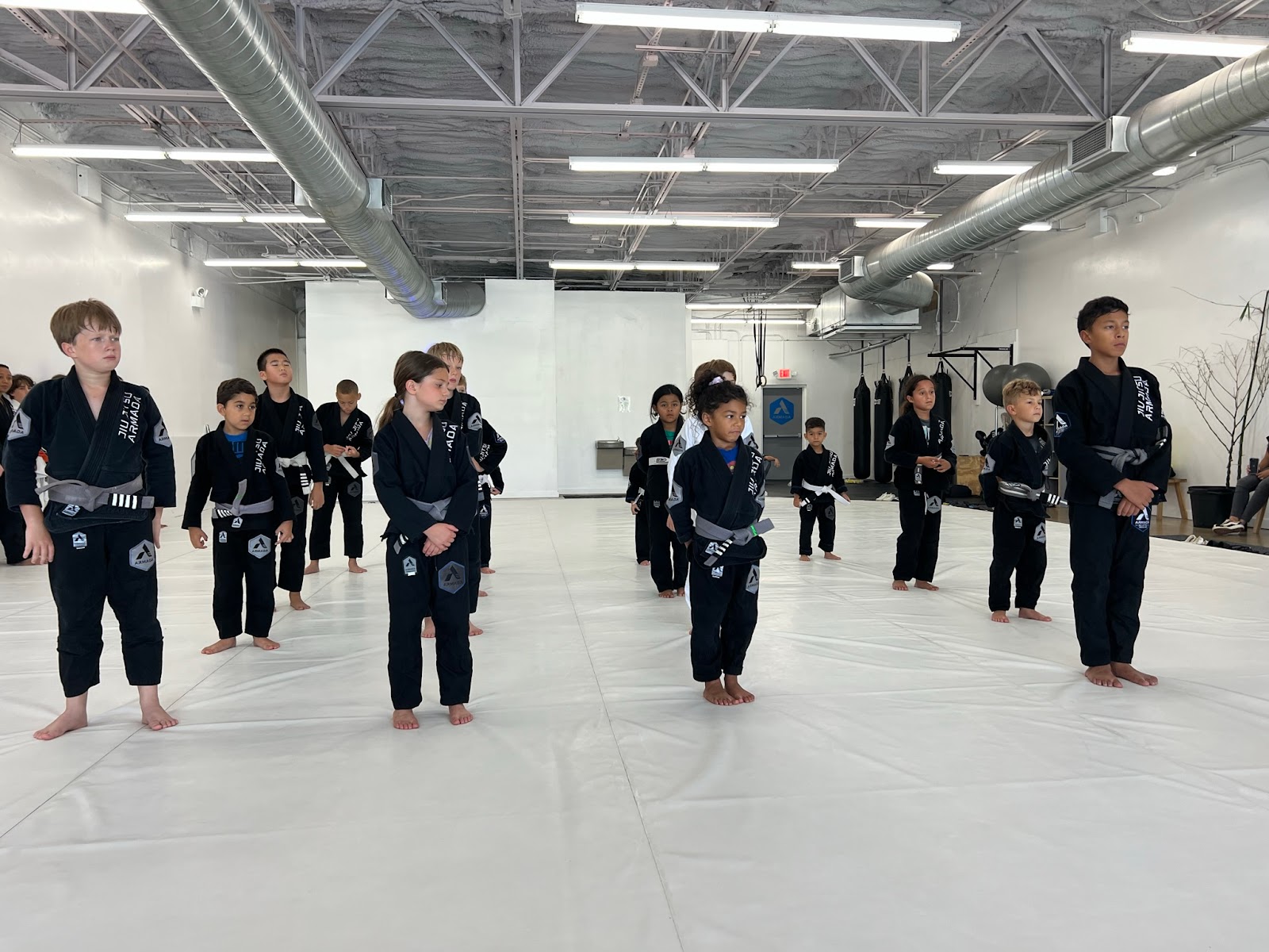 Armada Jiu Jitsu Oviedo photo