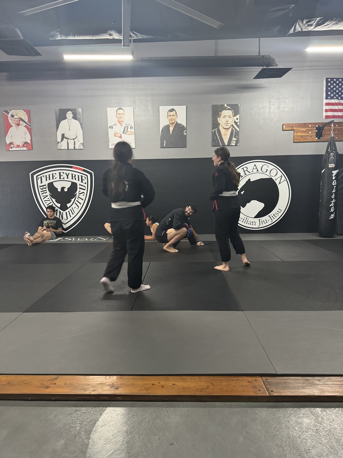 Image 4 of The Eyrie Brazilian Jiu-Jitsu