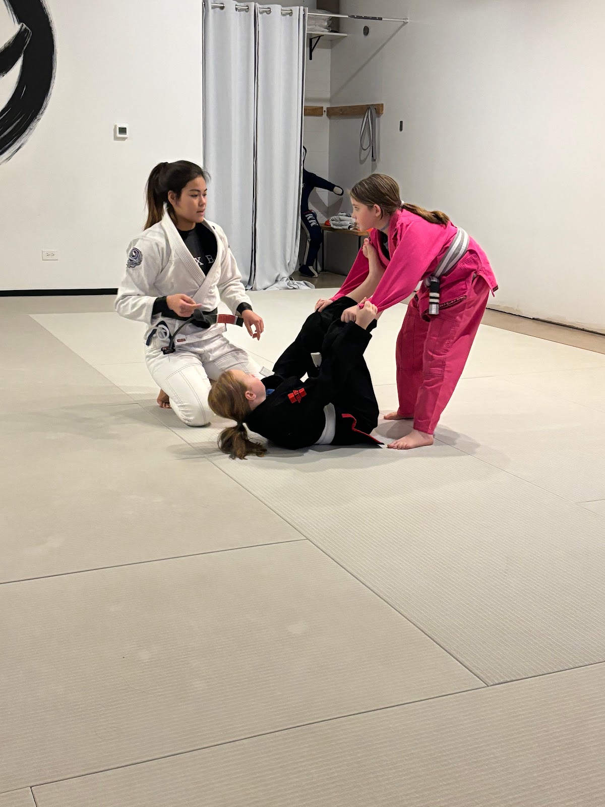 Image 9 of New Level Jiu-Jitsu