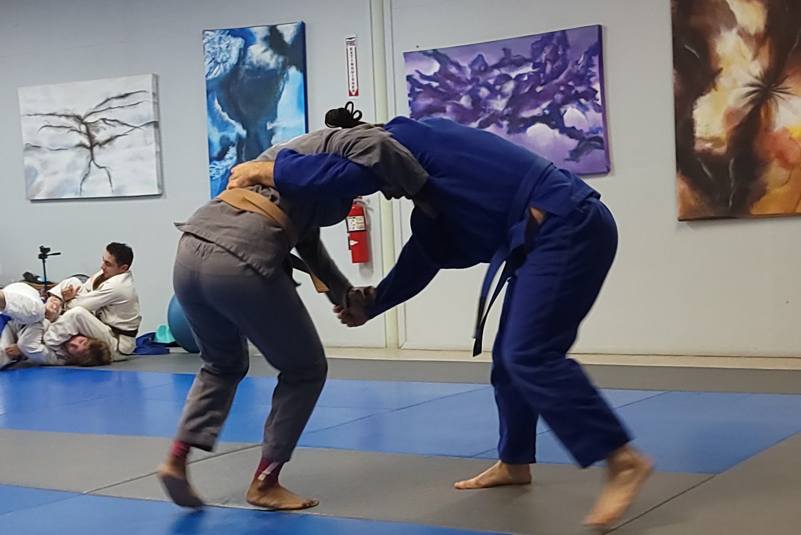 Image 8 of Select Jiu Jitsu Academy