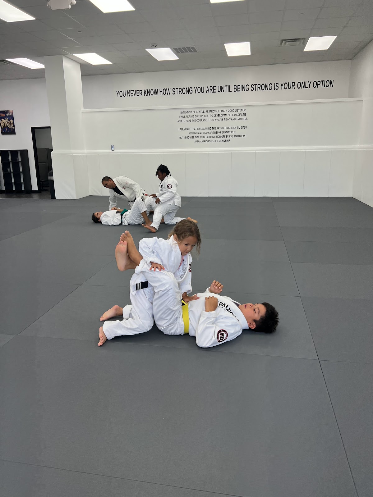 Image 2 of Six Blades Jiu Jitsu McKinney