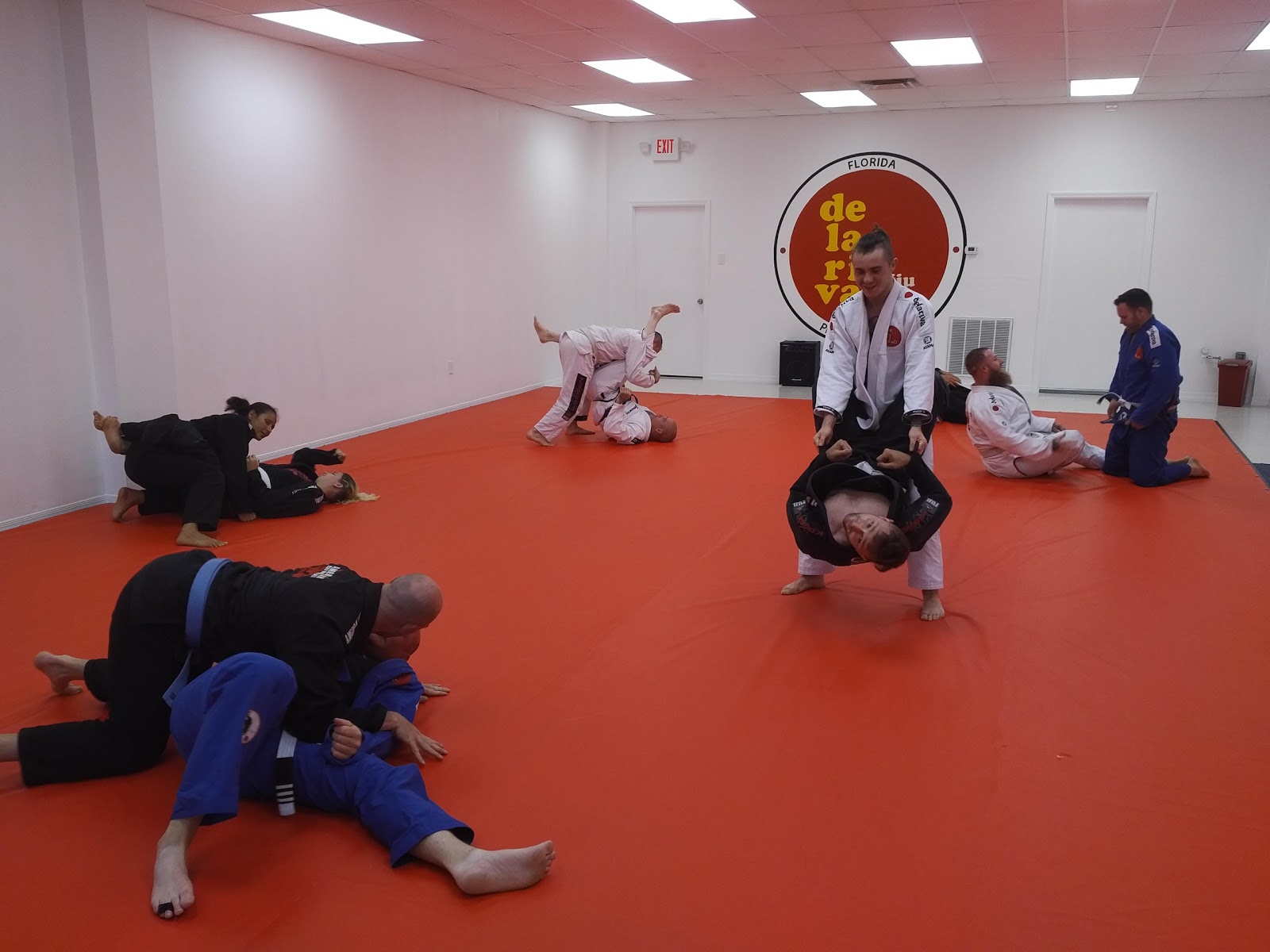 Image 2 of De La Riva BJJ