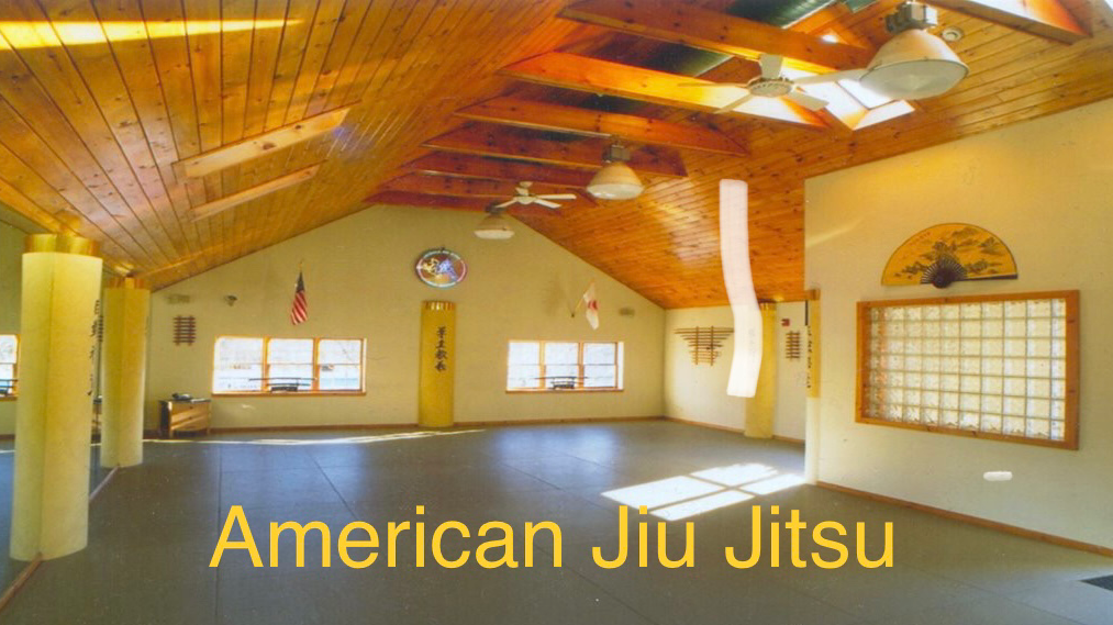 American Jiu Jitsu St. James photo