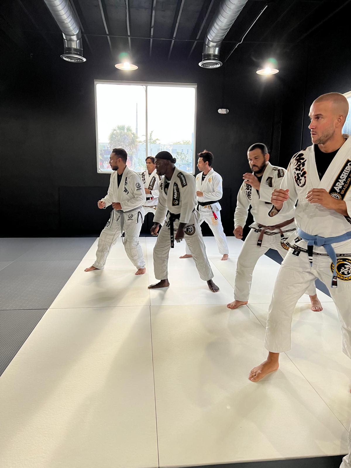 Image 3 of Arashiro Brazilian Jiu-Jitsu