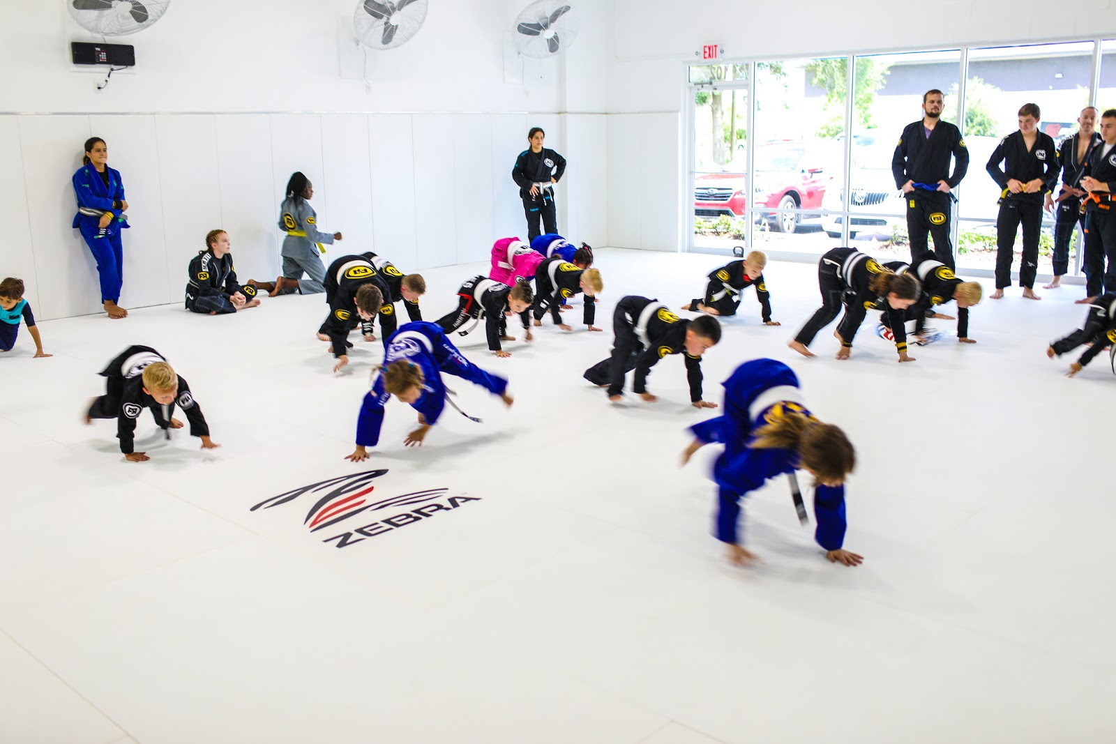 Image 2 of White House Jiu Jitsu