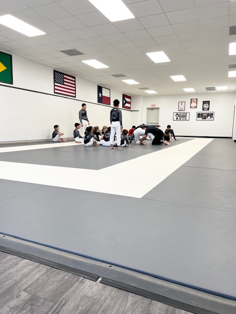 Image 4 of Prestige Brazilian Jiu-Jitsu