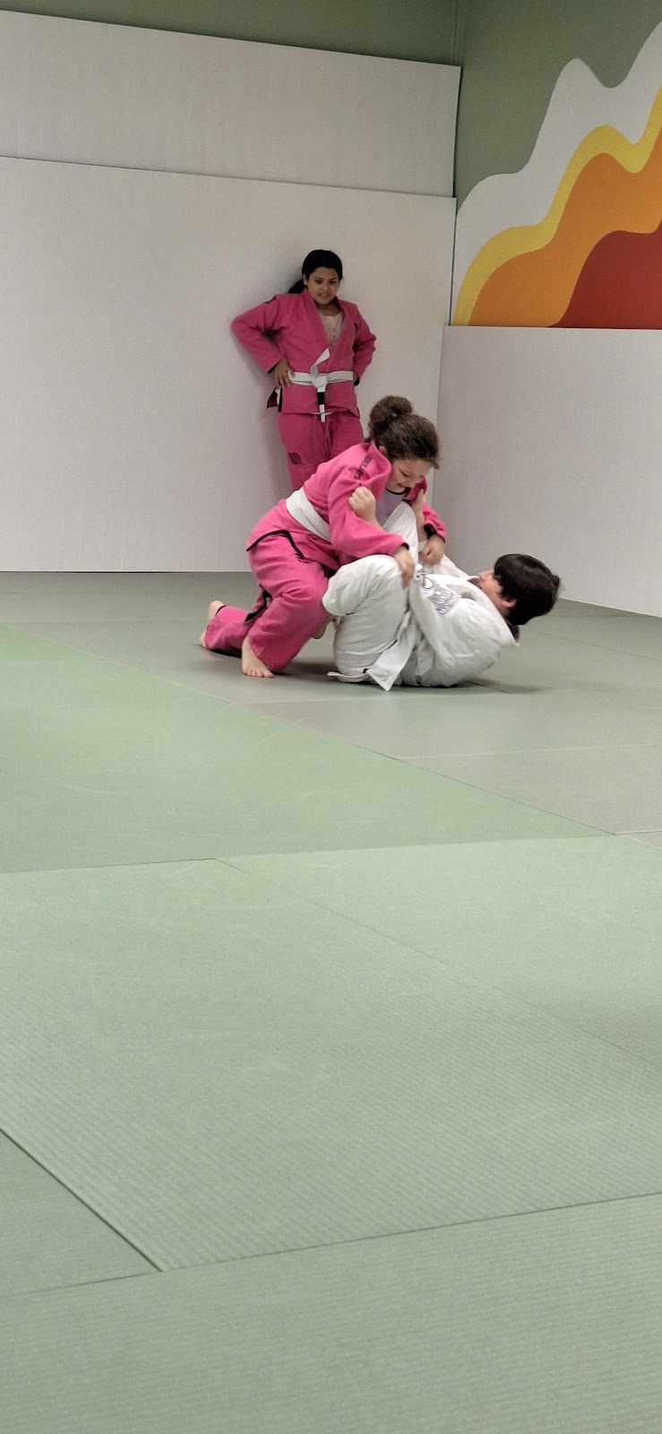 Image 3 of Tactics Jiu Jitsu