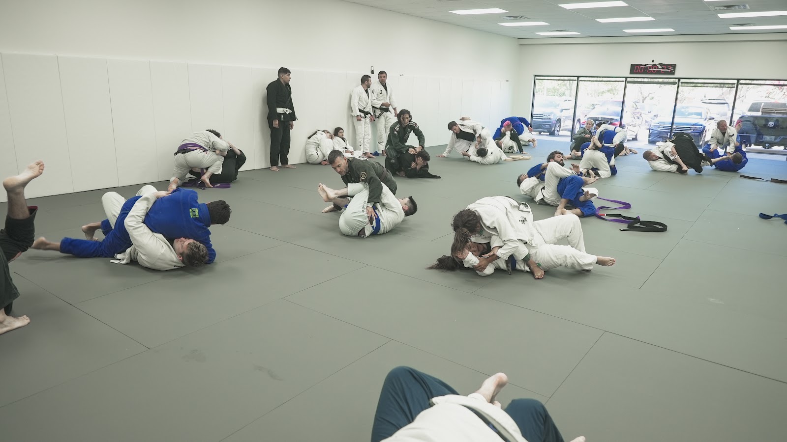 413 Jiu Jitsu School photo