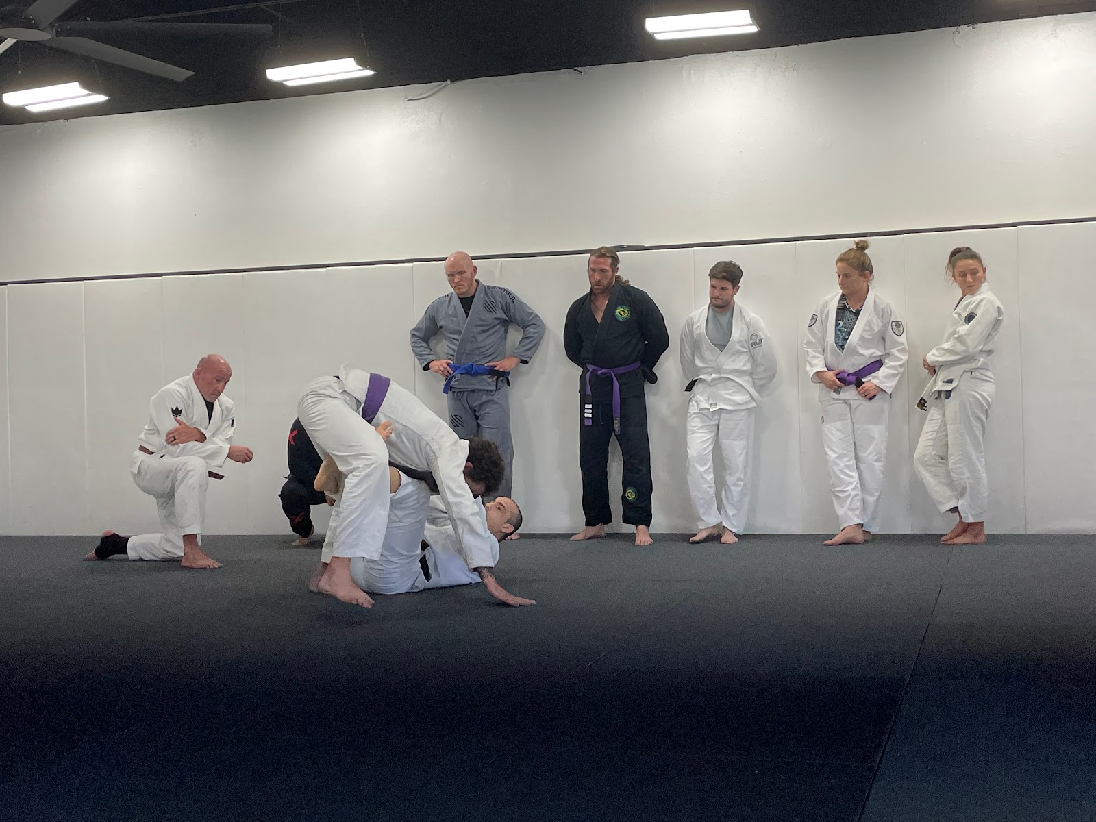 Image 3 of Concept Jiu-Jitsu of Clearwater