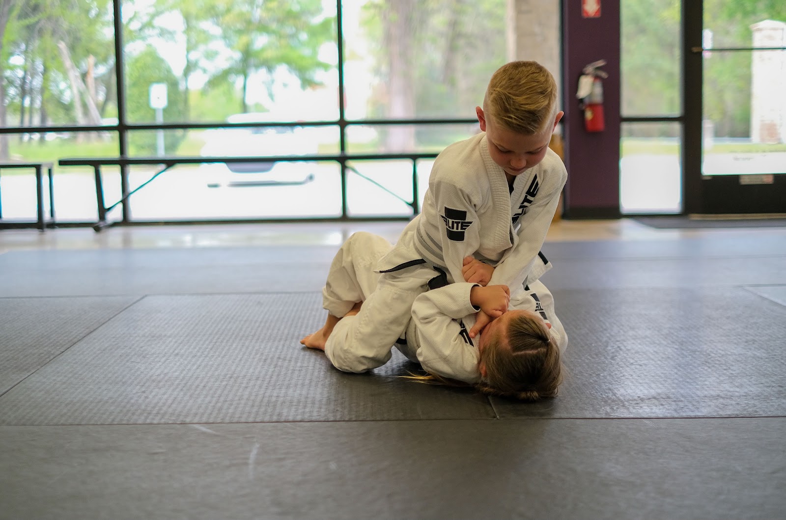 Image 3 of Full Metal BJJ