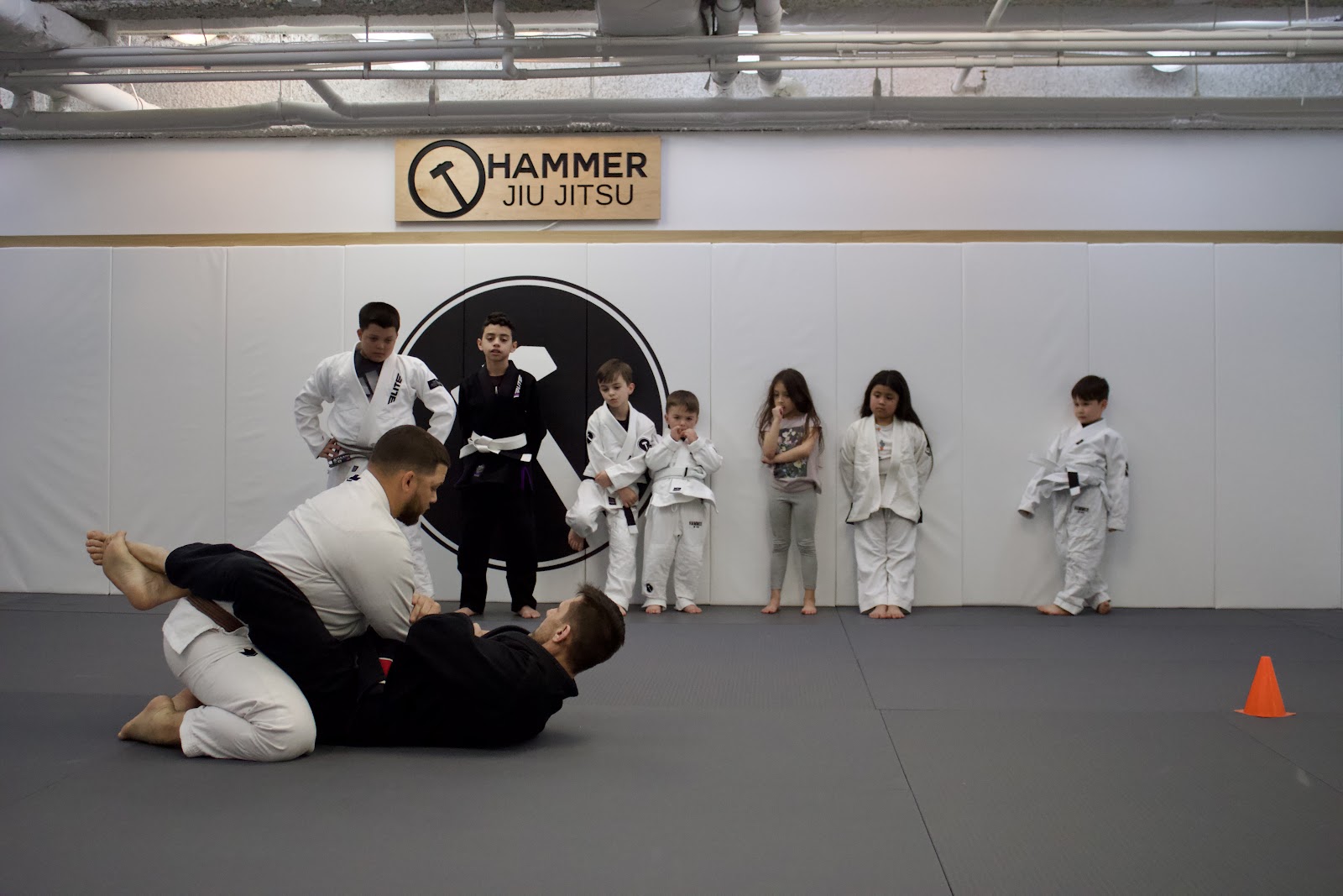 Main image of Hammer Jiu Jitsu