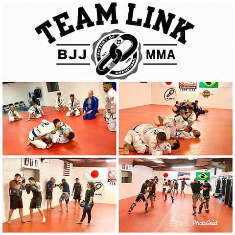 Image 2 of Team Link Webster BJJ and MMA