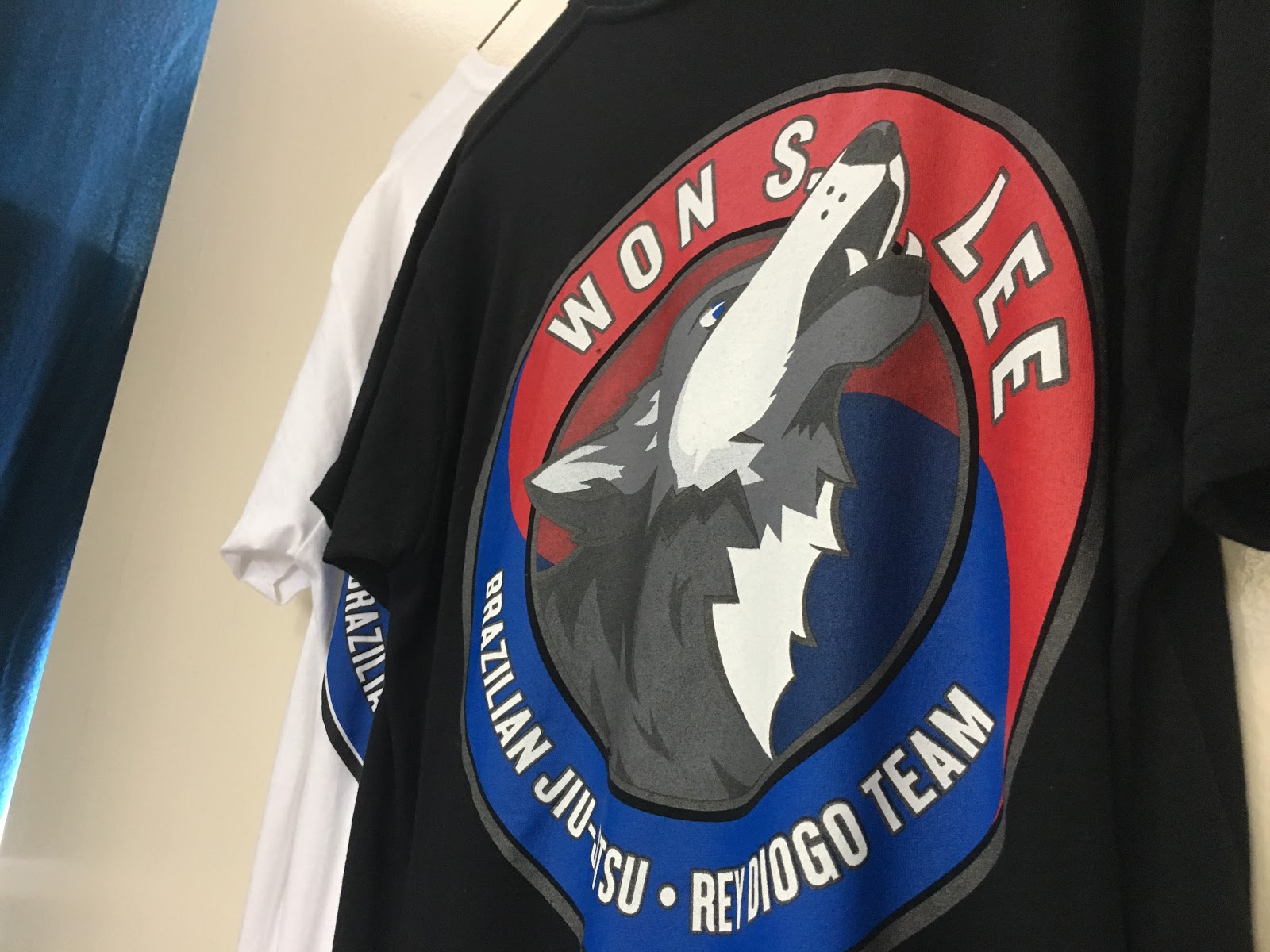 Image 3 of Won Brazilian Jiu Jitsu