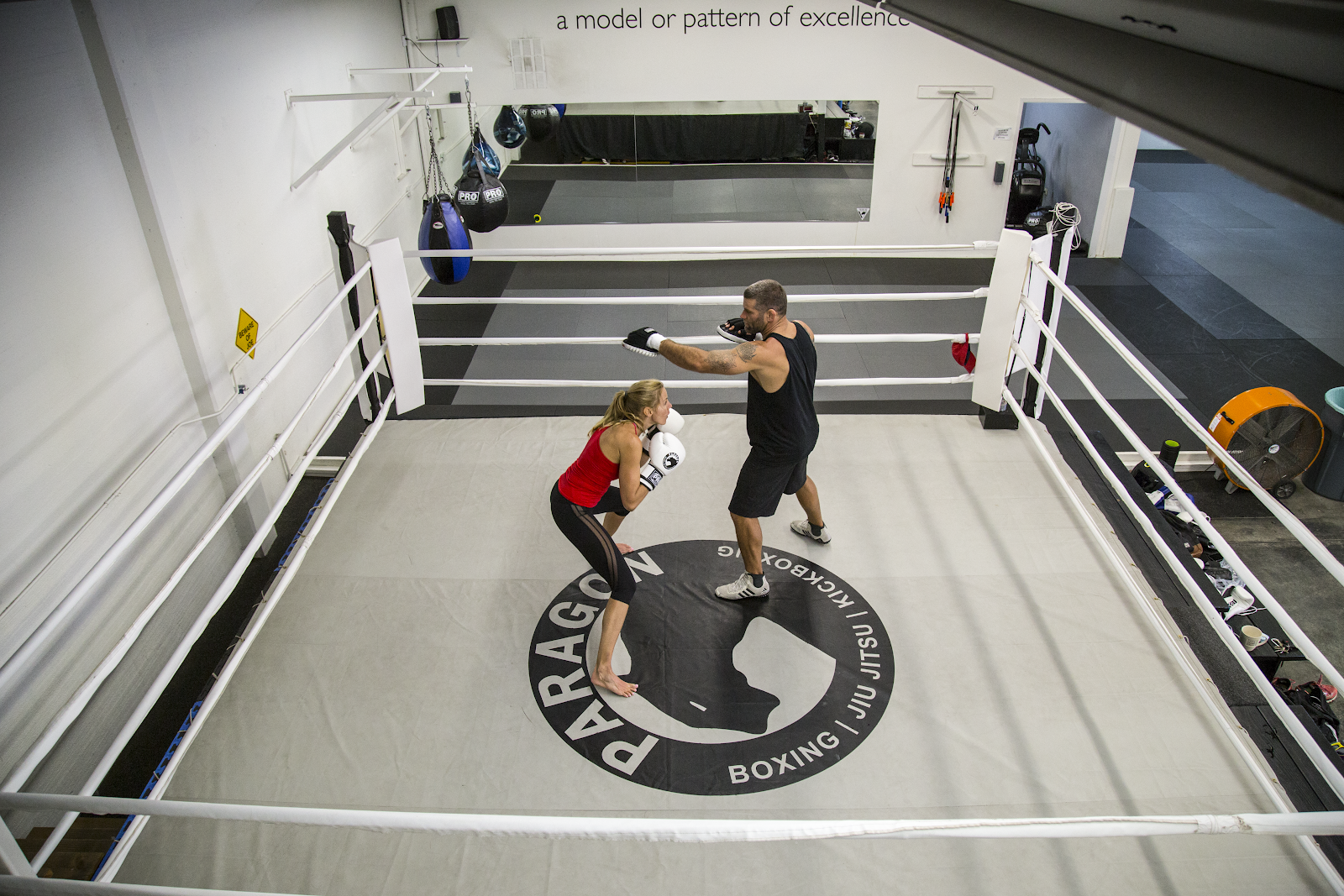 Image 5 of Paragon Academy Jiu Jitsu-Boxing-Kickboxing Gym