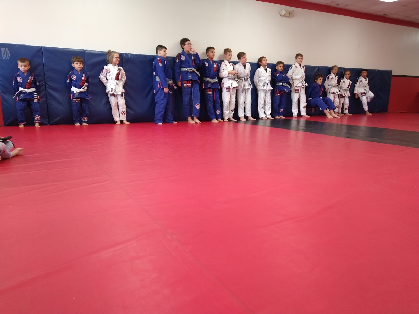 Image 5 of Nelumbo Jiu-Jitsu Martial Arts Academy