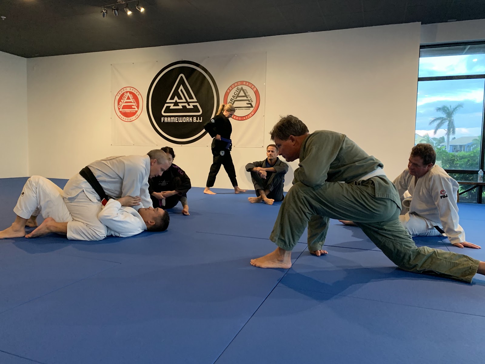 Image 7 of Framework BJJ