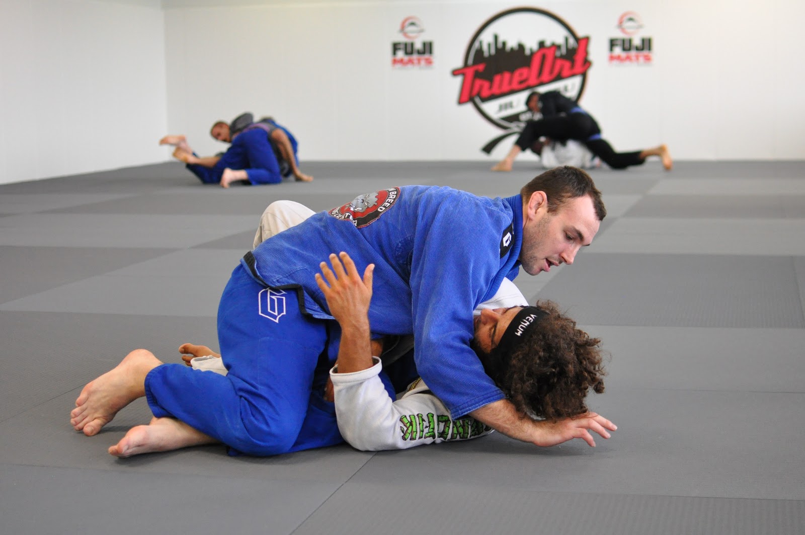 Main image of True Art Jiu Jitsu