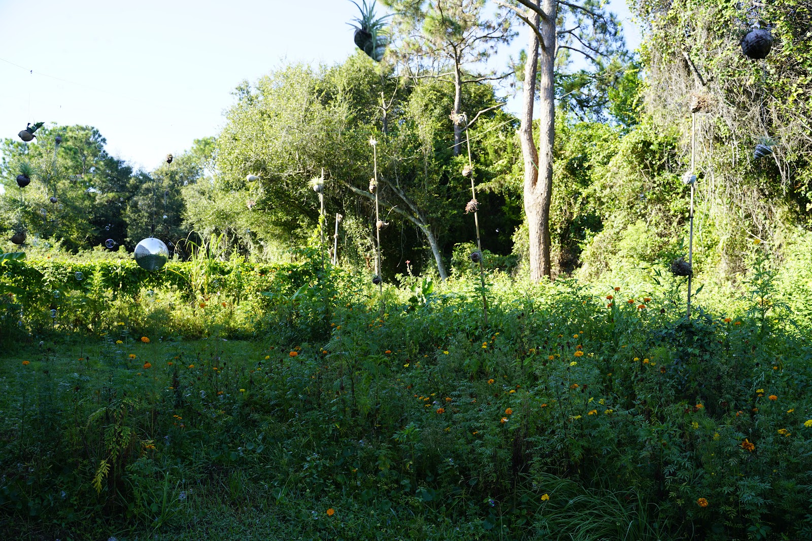 Image 7 of Gracie Jiu-Jitsu St. Augustine