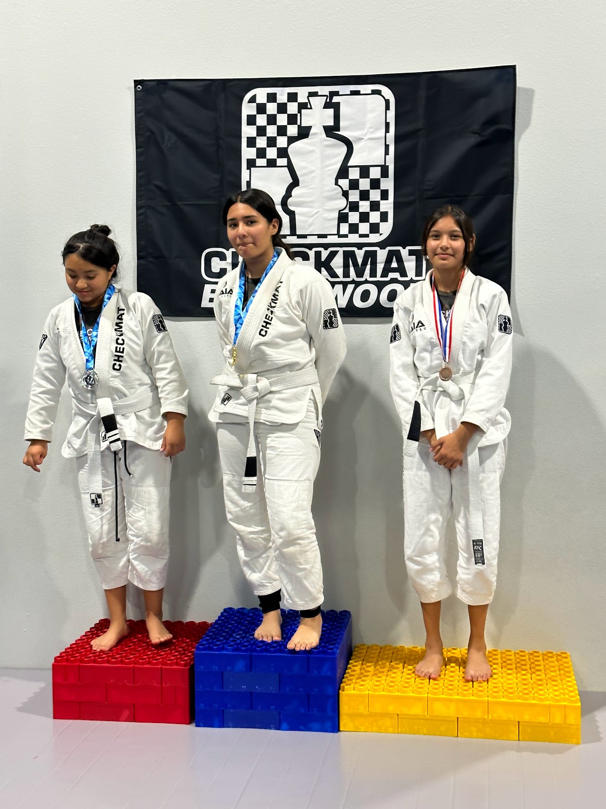 Main image of Checkmat Brentwood Jiu-Jitsu