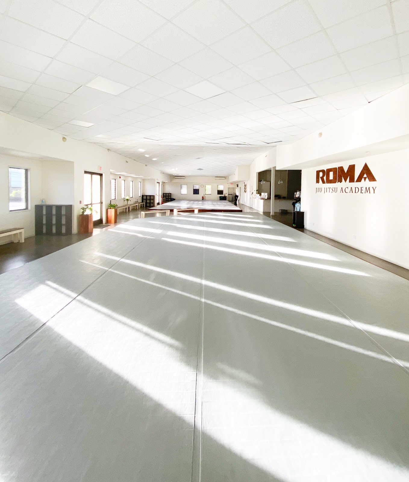 Main image of Roma Jiu Jitsu Academy