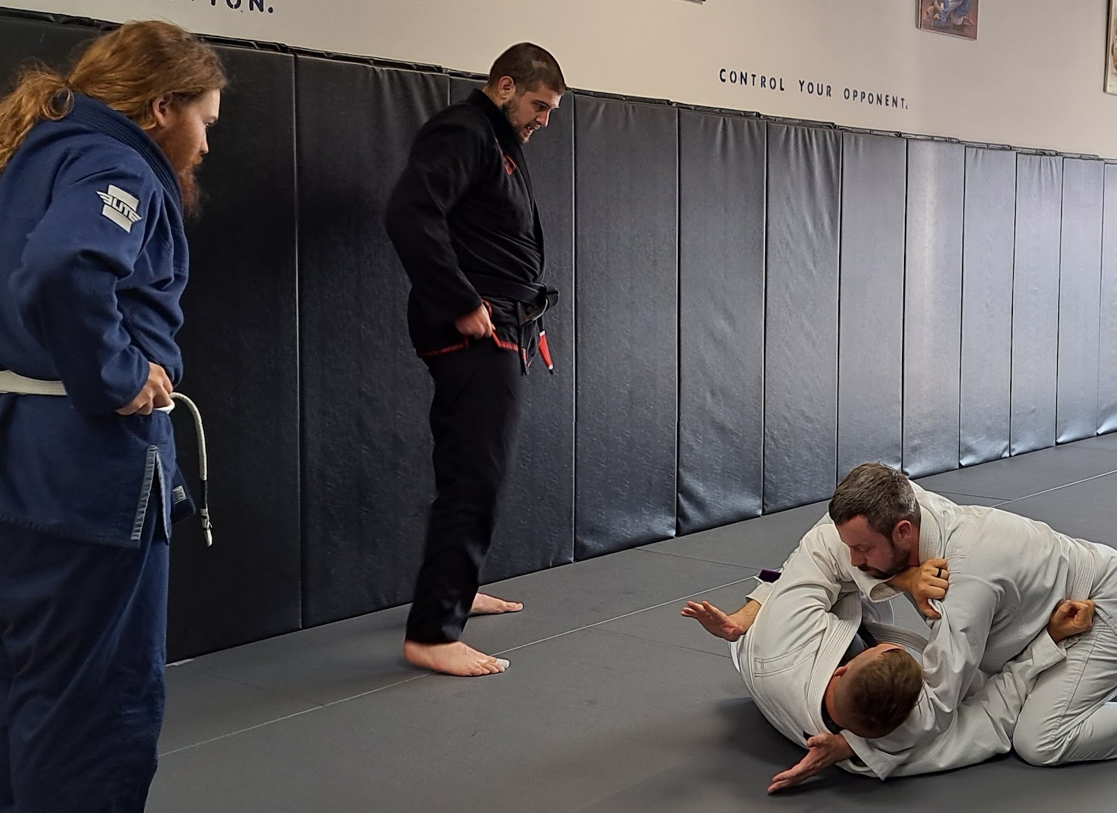 Image 9 of Ursidae Jiu-jitsu