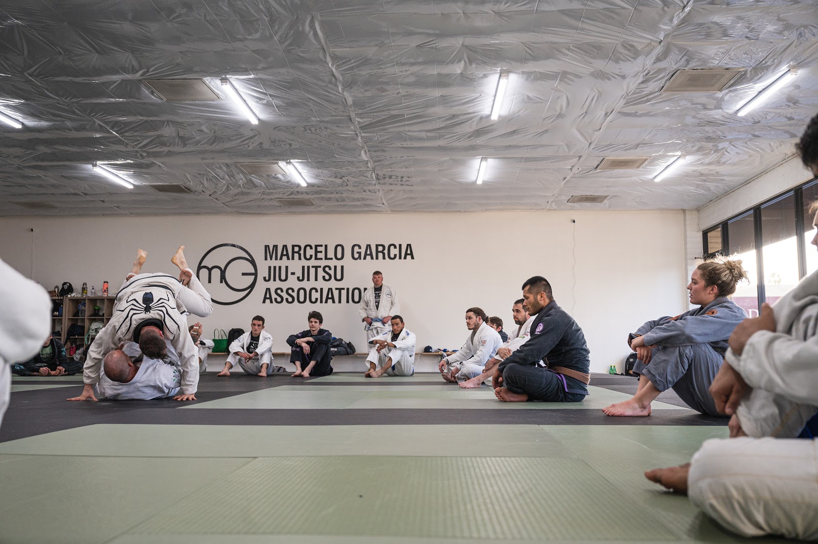 Image 10 of Sonoran Brazilian Jiu Jitsu Academy