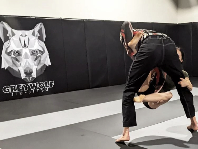 Image 7 of Ares PV BJJ