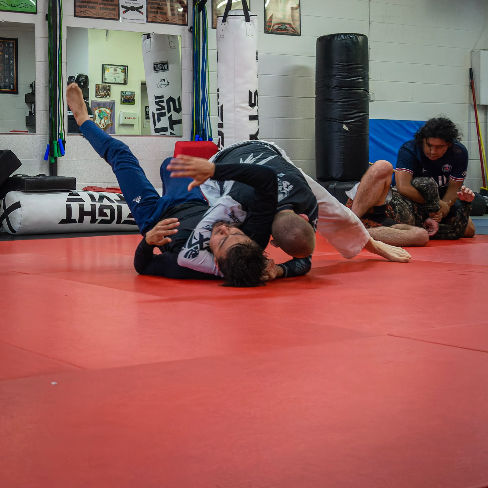 Image 8 of Westmore Brazilian Jiu Jitsu