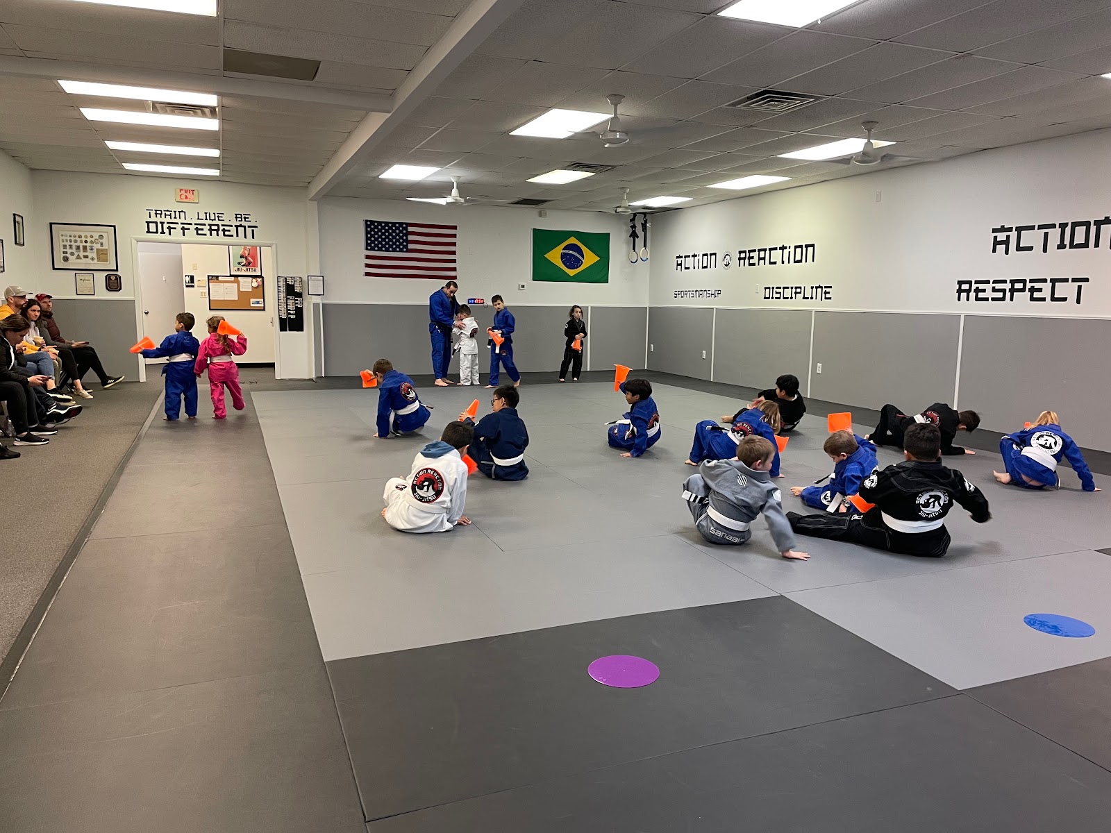 Image 2 of Action Reaction Jiu Jitsu Academy