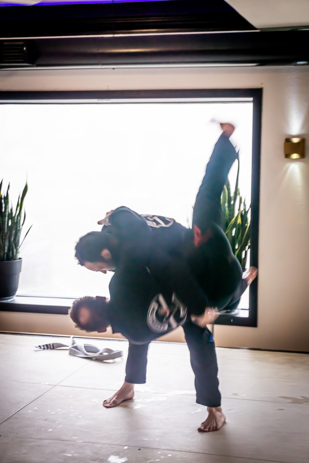 Image 9 of Cornerstone Brazilian Jiu Jitsu - Delavan