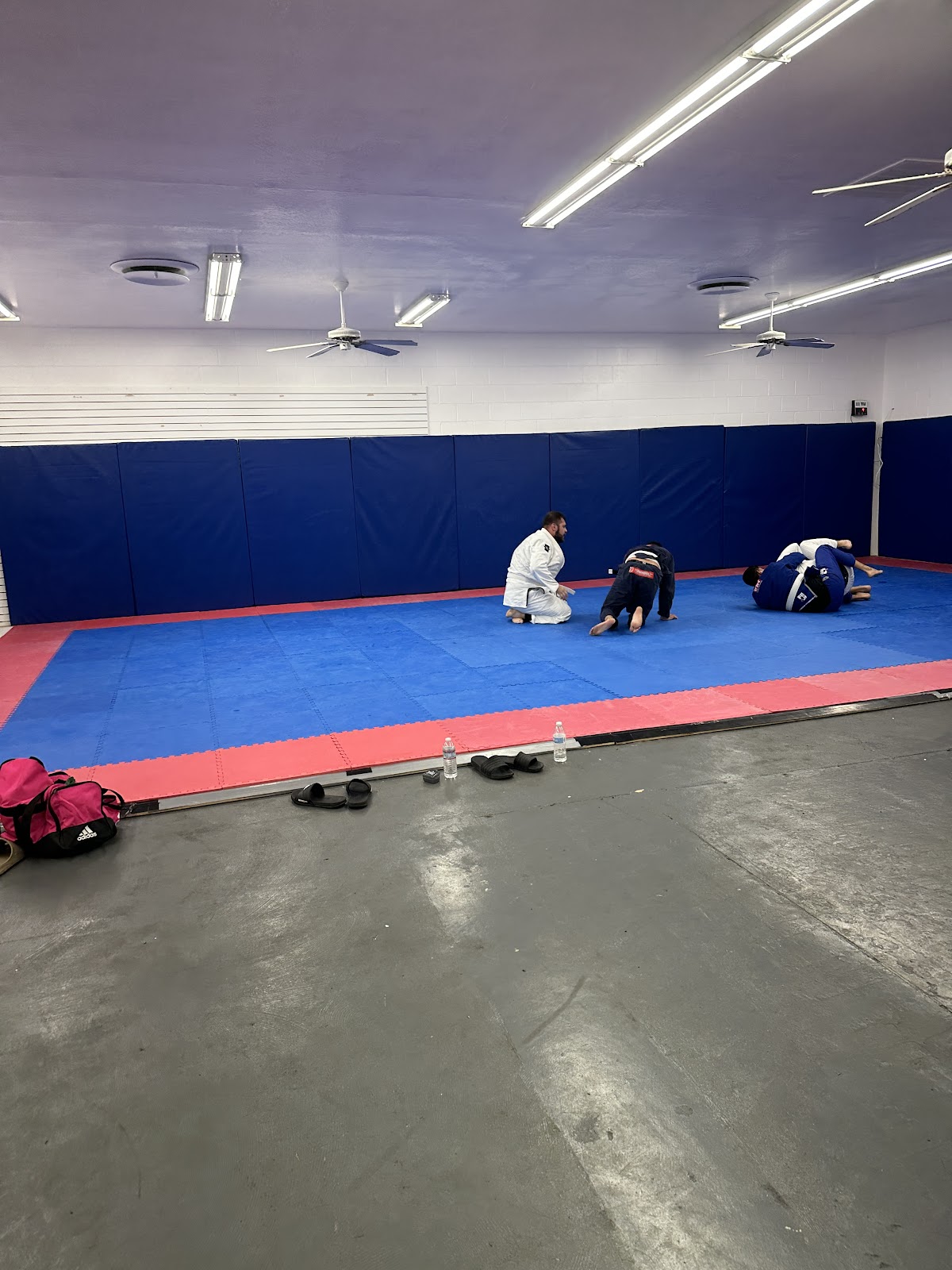 Paraiso Jiu JItsu photo