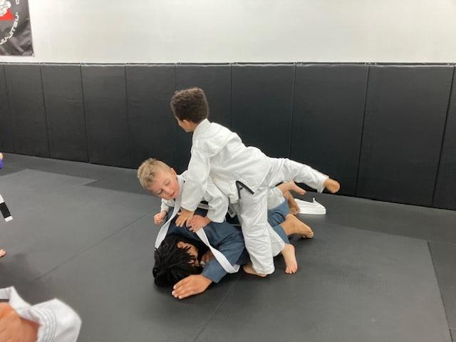 Image 5 of Jean Jacques Machado BJJ - Mandarin