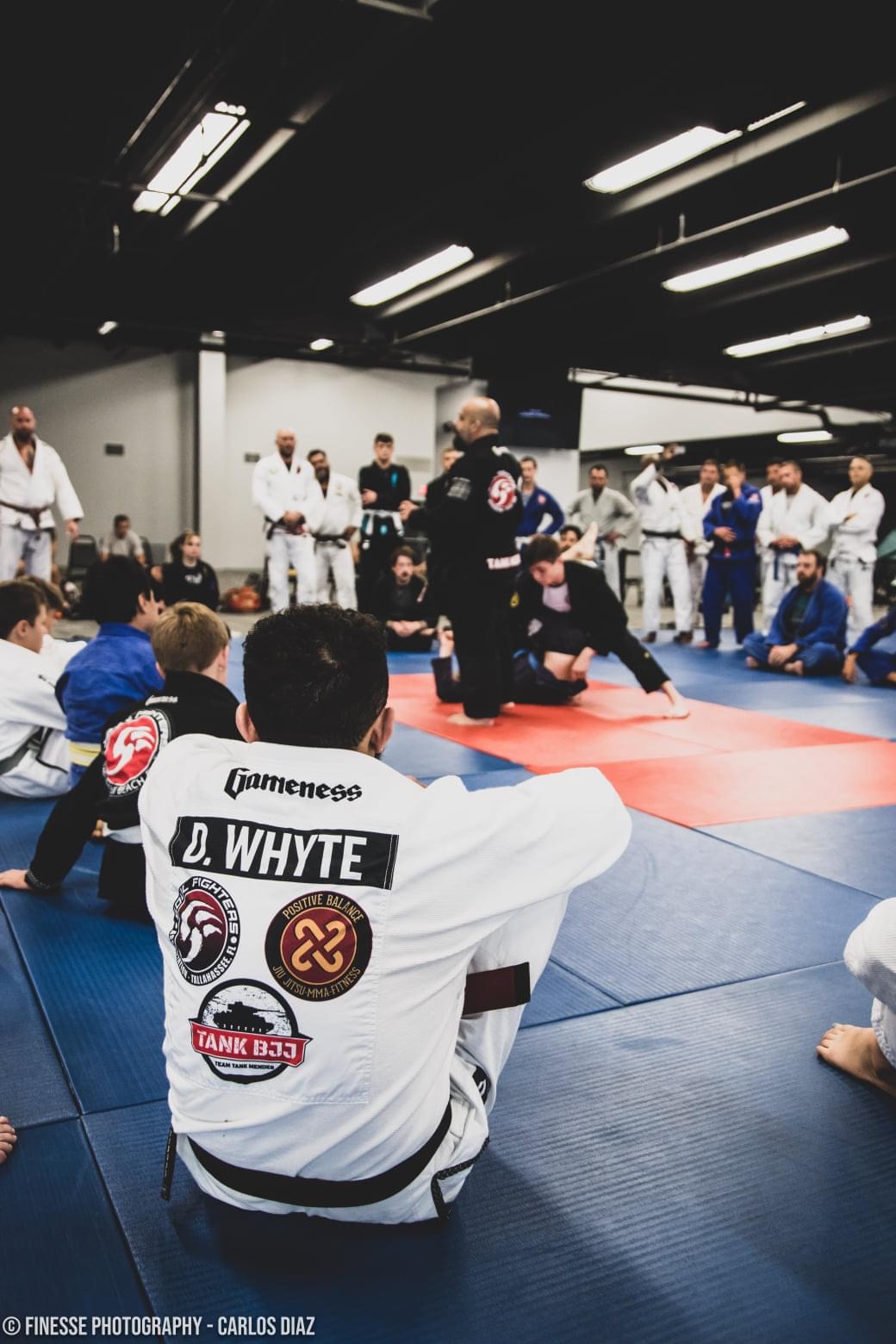 Image 7 of Positive Balance Brazilian Jiu Jitsu