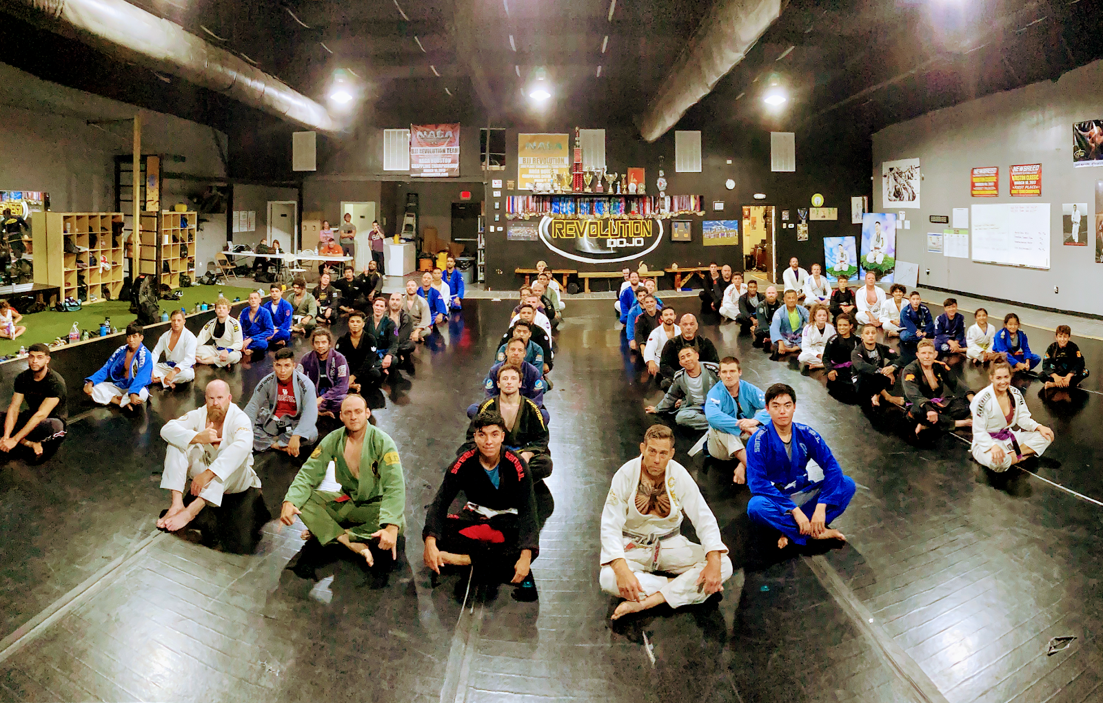 Image 3 of Revolution Dojo Katy