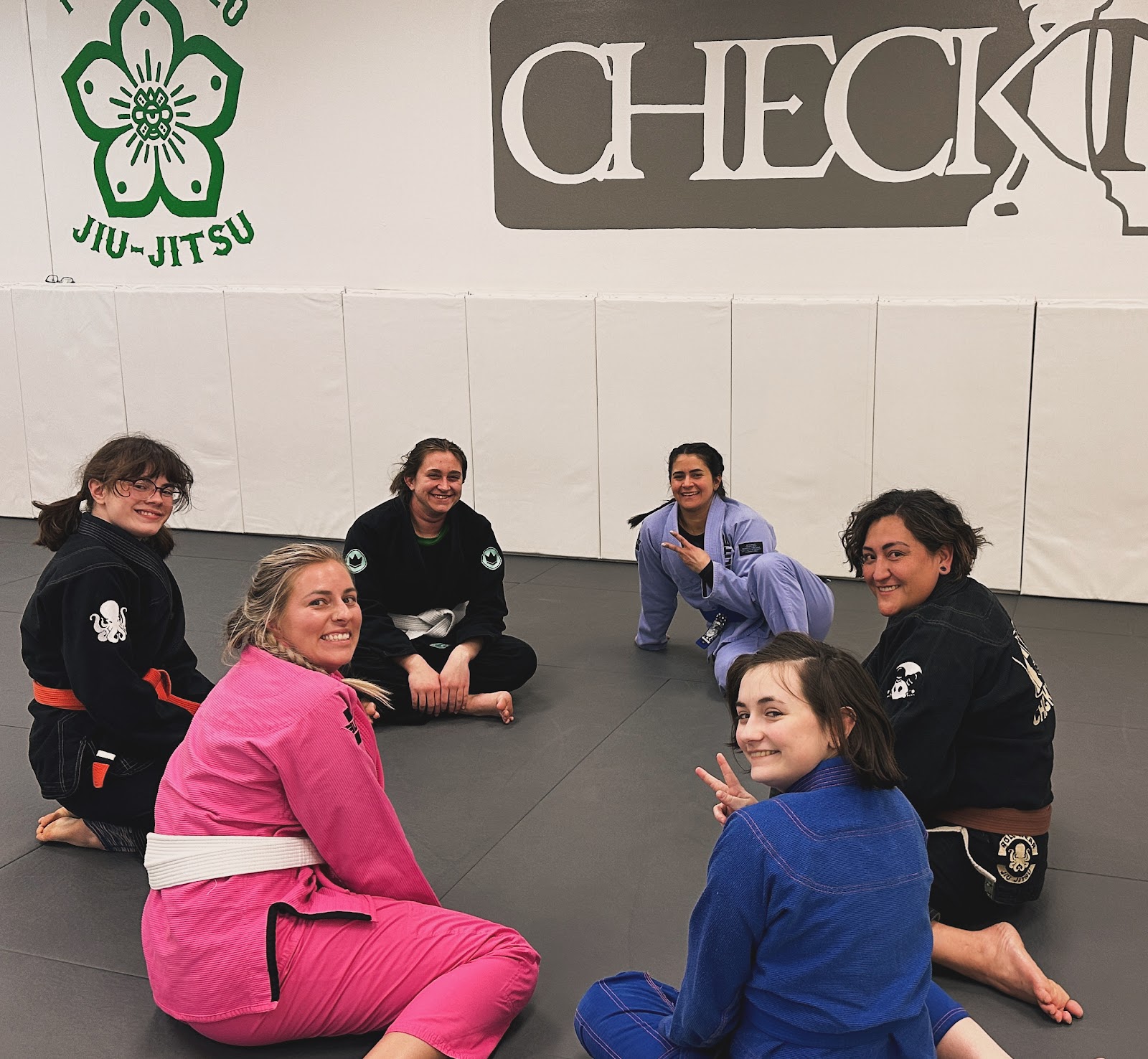 Pocatello Jiu Jitsu photo