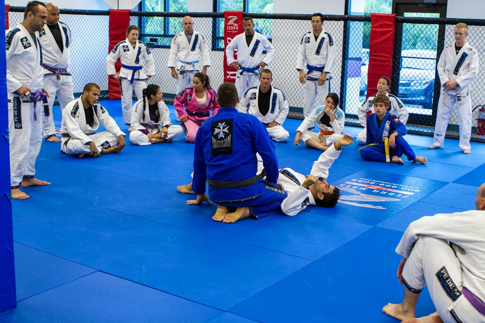 Image 5 of Marcio Cruz Brazilian Jiu-Jitsu New Tampa