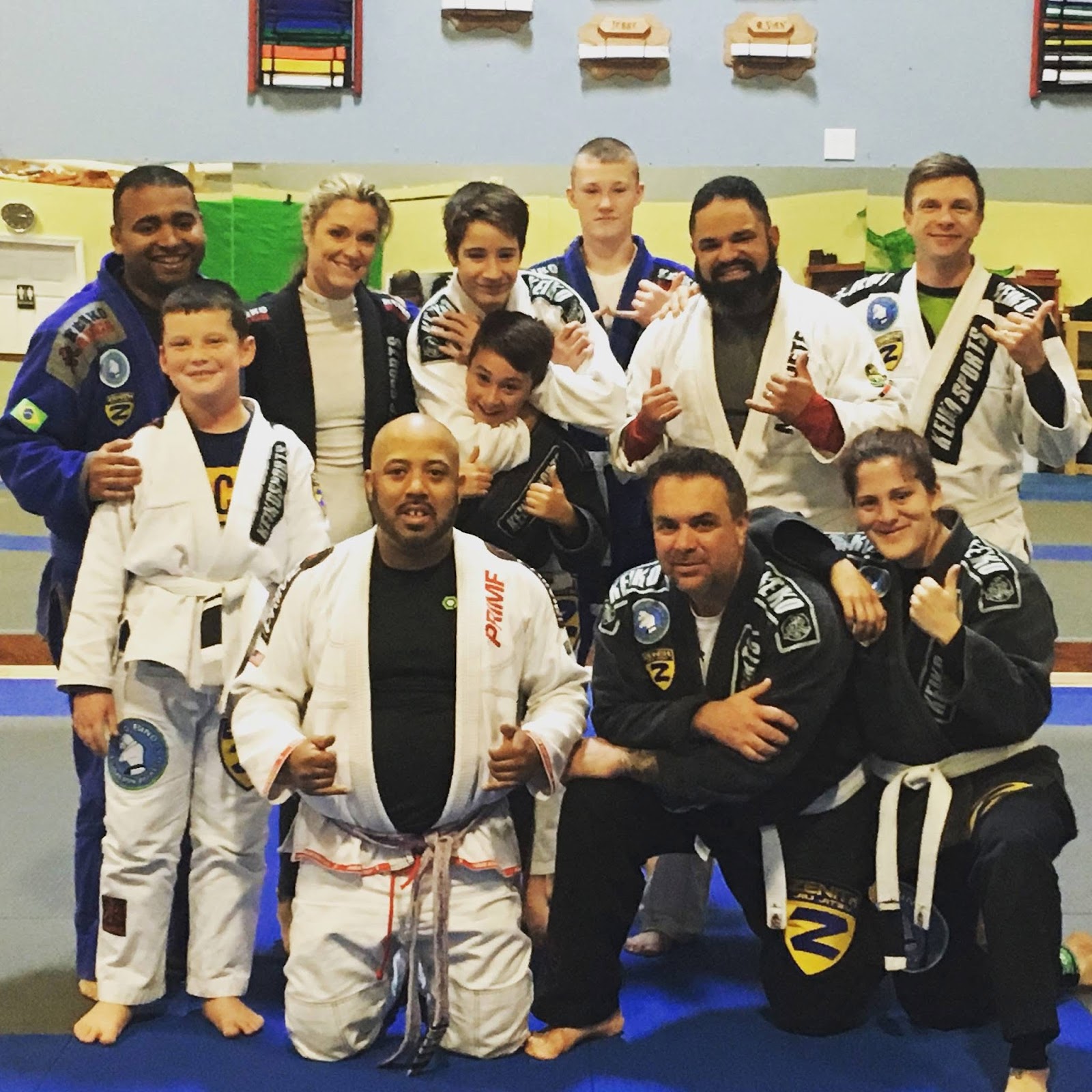 Silvestrebjj photo